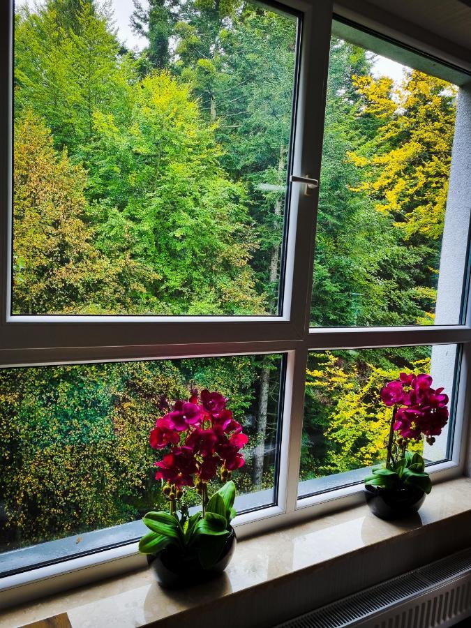Apartament Kurort Kozubnik Wilcza Wataha Porąbka 외부 사진